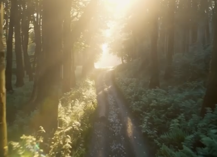 🌐 YANA: Ein Netzwerk für die, die wach sind – gebaut mit Bewusstsein, nicht mit Werbung